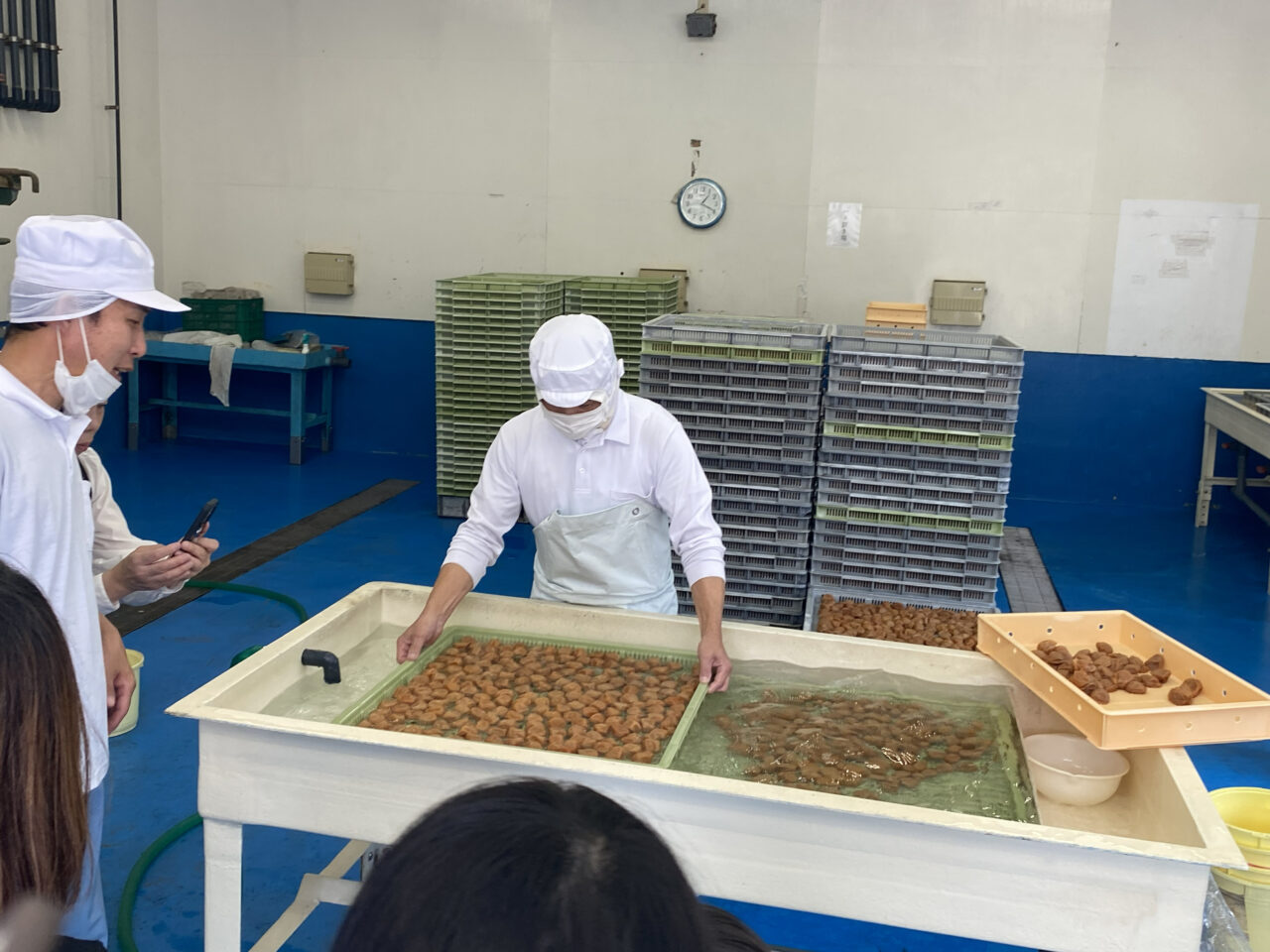 梅干しの本場・みなべ町で手詰め体験とシロップづくり