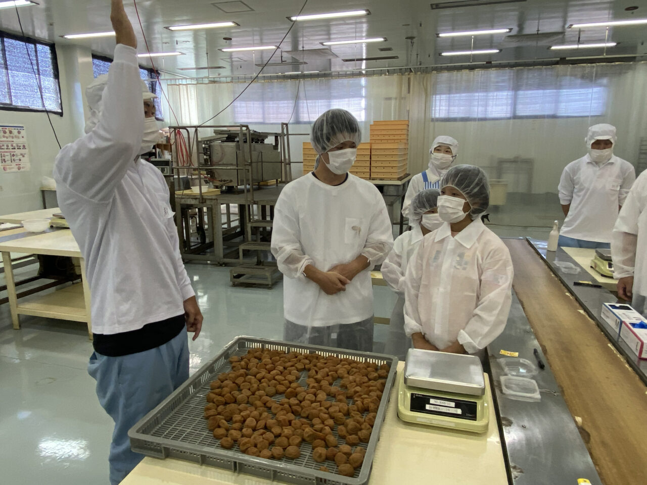 梅干しの本場・みなべ町で手詰め体験とシロップづくり
