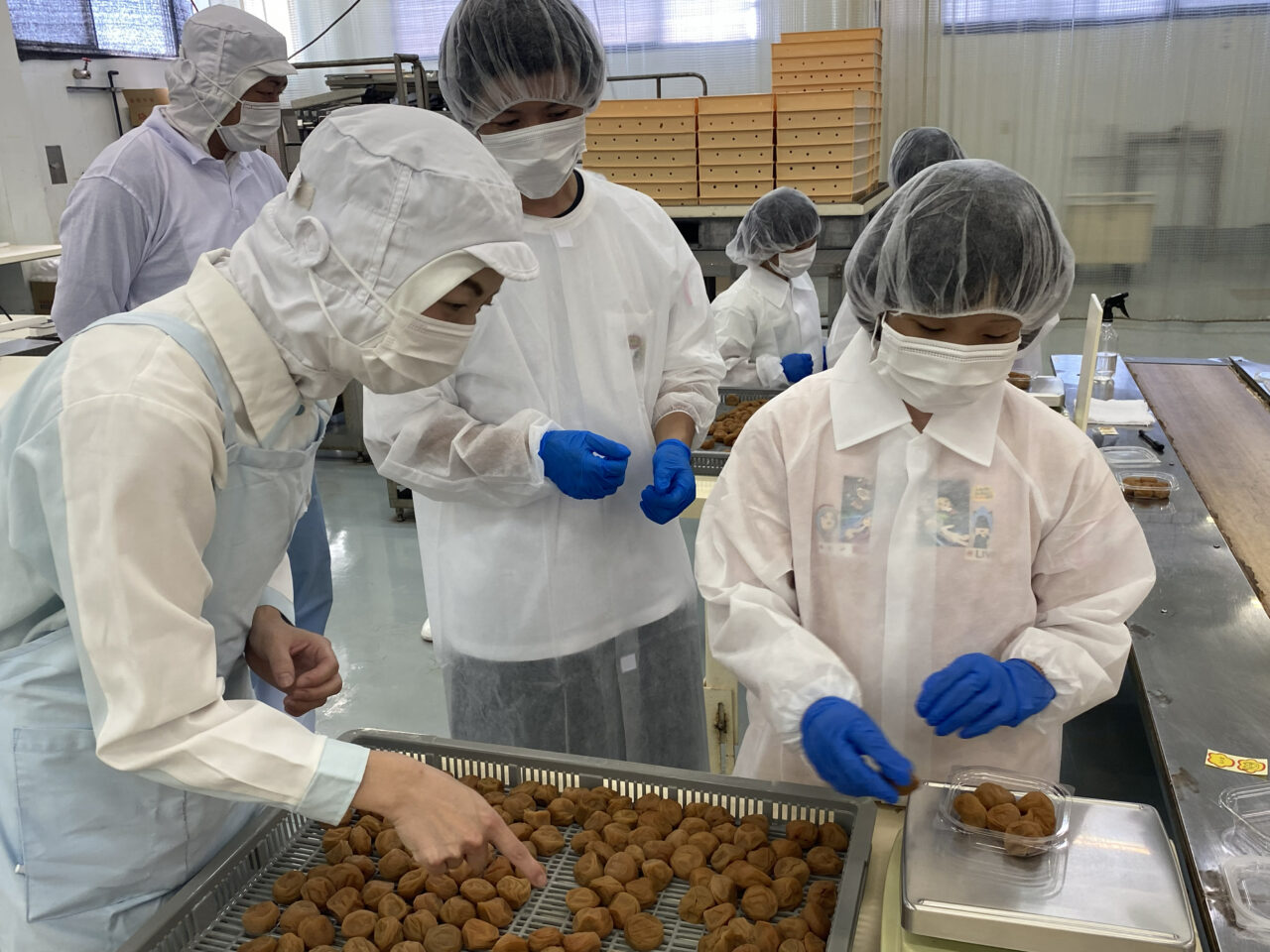 梅干しの本場・みなべ町で手詰め体験とシロップづくり