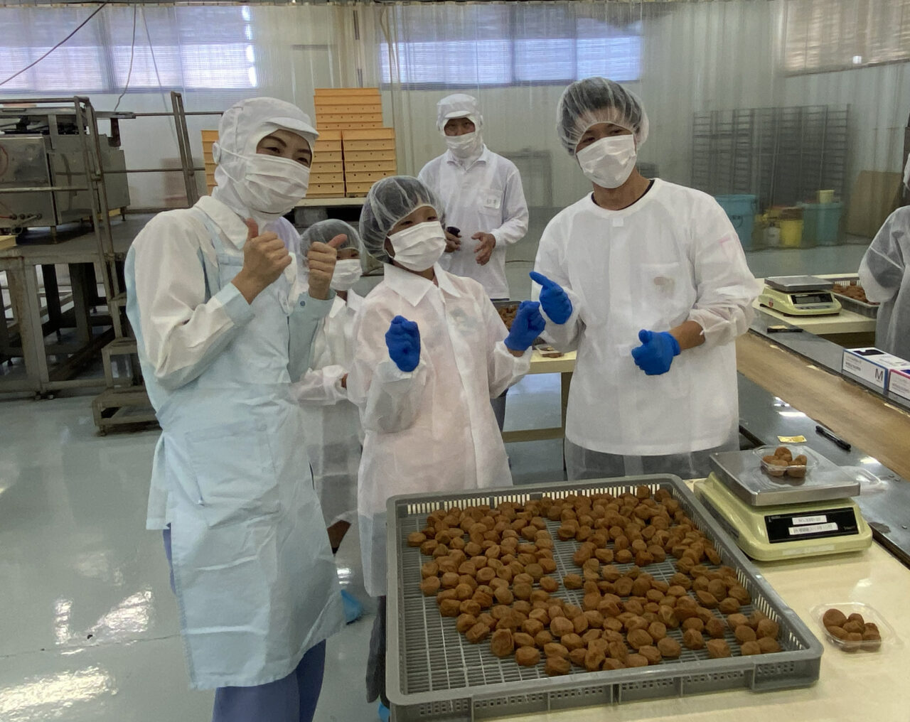 梅干しの本場・みなべ町で手詰め体験とシロップづくり